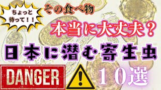 【危険生物】日本に潜む凶悪な寄生虫を１０選ご紹介！ [upl. by Knute]