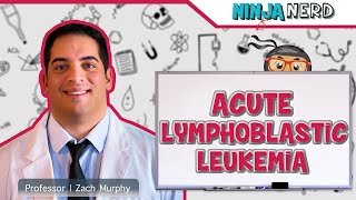 Acute Lymphoblastic Leukemia ALL [upl. by Leynwad158]