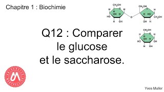 Chapitre 1  Biochimie  Q12  Comparer le glucose et le saccharose [upl. by Royden]