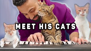 Meet This Famous Pianists 19 Rescue Cats 😻🎹 Sarper Duman  House Tour 🏠 [upl. by Noimad]