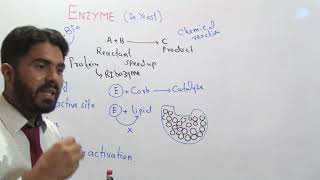 Enzyme basics 1st year MBBS Biochemistry [upl. by Naaman407]