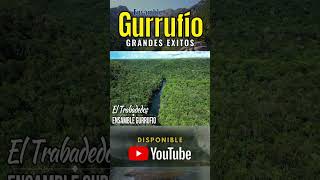 Ensamble Gurrufio Grandes Exitos venezuela venezolanos musicavenezolana musicainstrumental [upl. by Rooker]