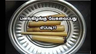 How To Cook Panam Killangu In TamilPalm Sprout Cookingபனங்கிழங்குPanam kizhanguRajamani Samayal [upl. by Onyx]