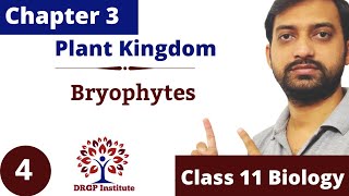 Chapter 3  Plant Kingdom  Bryophytes  Characters and Life cycle Class 11 CBSE RBSE NCERT Part4 [upl. by Nesnar]