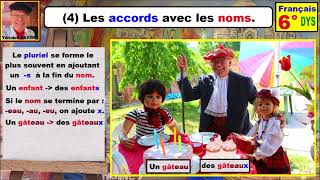 Les accords avec les noms  Grammaire française cm2 6ème dys  4 [upl. by Sairacaz807]