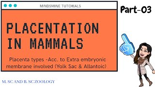 Types of PlacentaYolk sac Vitelline placenta and Allantoic placenta Part3 BSc MSc Zoology NET [upl. by Artemus538]