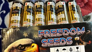 Intravenous “Freedom Seeds” Proline canister shells Color break and Ti burst 9 10 11 12 [upl. by Nage276]