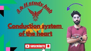 Conduction system of heart  Action potential of heart  cardiovascular system part 03 [upl. by Nehtiek2]