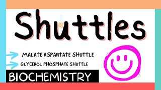 Shuttles  Malate amp Glycerol phosphate shuttles  Biochem  MBBS 1st year [upl. by Naujak418]