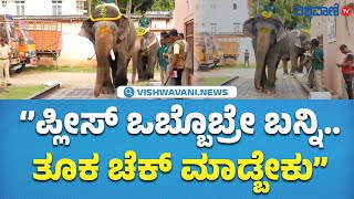 ದಸರಾ ಗಜಪಡೆಯ 2ನೇ ತಂಡಕ್ಕೆ ತೂಕ ಪರೀಕ್ಷೆ  Mysore Dasara  Vishwavani TV [upl. by Schafer709]