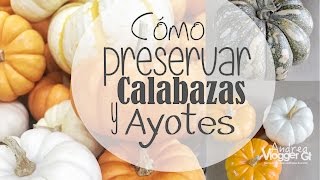 Como preservar calabazas y ayotes para decoración  How to Preserve a Pumpkin [upl. by Ardnaxila]