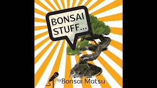 Season 6 Episode 29  Bonsai Related Injuries you should try and avoid [upl. by Alarice273]