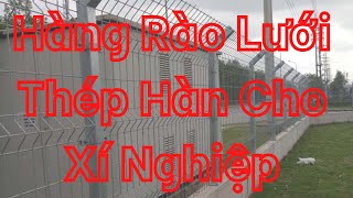 10 Mẫu Hàng Rào Lưới Thép Hàn Chất Lượng Hàng Đầu Cho Xí Nghiệp [upl. by Aletta263]