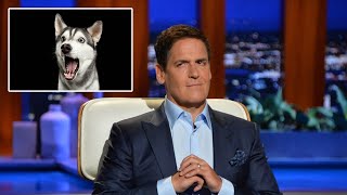 Mark Cuban Invests In Vegan Dog Food Company Wild Earth [upl. by Aivun]