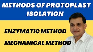 Methods for isolation of protoplast Mechanical and Enzymatic  Plant Biotechnology [upl. by Doreg]