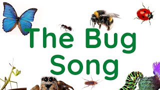 The Bug Song  a fun ESL song about bugs [upl. by Lali388]