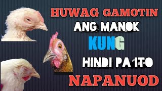 GAMOT SA SAKIT NG MGA MANOK [upl. by Eveam]