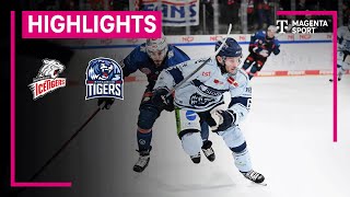 Nürnberg Ice Tigers  Straubing Tigers  PENNY DEL  MAGENTA SPORT [upl. by Mclaughlin260]