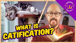 What is Catification and why it’s crucial for your catloving home [upl. by Acirretal]