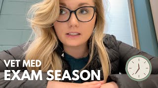 VET SCHOOL VLOG my first exam season of vet school [upl. by Teresa]