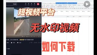 如何下载抖音 快手等短视频平台无水印视频 [upl. by Youngman]