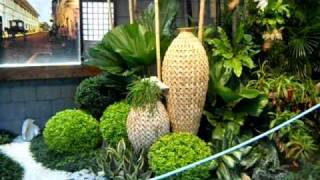 PHILIPPINE ORCHID SOCIETY EXHIBIT IN TAIPEI INTL FLORA EXPO 2011 [upl. by Drahcir]