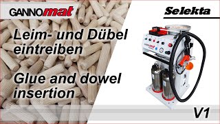 GANNOMAT Selekta  Dübeleintreibgerät  Handheld glue and dowel inserter [upl. by Legir750]