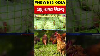 Bird Flue In Odisha  ଶସ୍ତା ହେଲା ଚିକେନ୍Chicken Price Fall Due To Bird Flu Scare FuelledH5N1 Virus [upl. by Gut784]