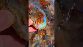 Always Keep your rough Opal Stones in water 💦💦 crystals opal crystalopal shortss gemstone [upl. by Novyar]