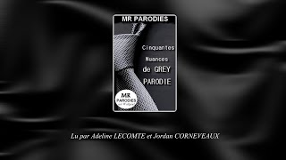 Cinquante Nuances de Grey Parodie  LIVRE AUDIO 16 [upl. by Nosdrahcir]