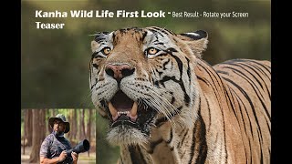 Discover Kanha Tiger Reserve First Look  Teaser  Kanha Wild Life safari I PugMark Resort [upl. by Adlaremse]