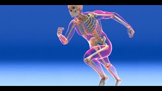 SKELETAL SYSTEM CRASH COURSE LECTURE [upl. by Brentt]