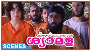 Chinthavishtayaya Shyamala Malayalam Movie  Thilakan and Innocent get angry at Sreenivasan [upl. by Lennor]