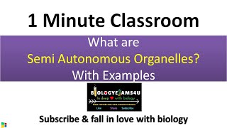 What are Semi Autonomous Organelles with Example  BiologyExams4u 1 Minute Classroom [upl. by Attekahs]