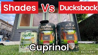 Cuprinol shades vs ducksback fence Paint what’s the difference [upl. by Rehpotsirc]