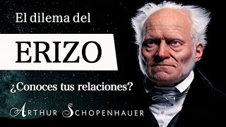 DILEMA del ERIZO Arthur Schopenhauer  ¿Por qué nos ALEJAMOS de nuestros SERES QUERIDOS [upl. by Seravart]