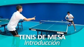 TENIS DE MESA 1 Introducción [upl. by Celka59]