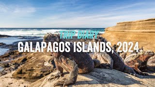 Galapagos Islands 2024  SwimTrek Trip Diary [upl. by Moreville]