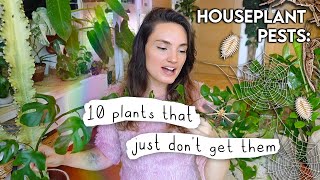 Plants That Dont Get Pests 🪳 10 Houseplants That Ive Never Found Pests On [upl. by Lonyer98]