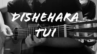 Dishehara Tui  দিশেহারা তুই  Guitar Cover  Instrumental  Fingerstyle Bangla Song [upl. by Eecram]