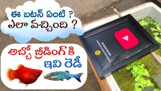 BALLOON PLATY amp ZEBRA BREEDING SIZE FISHS  SaiKrishnaTechy play botton review  AK AQUA TELUGU [upl. by Anselme]