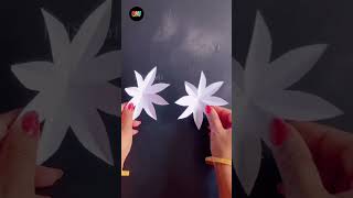 Beautiful Paper Flower  shorts diy papercrafts [upl. by Niliram]