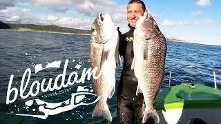 MUSSEL CRACKER AND BANK STEENBRAS  SPEARFISHING 2020 SOUTH AFRICA [upl. by Enived]