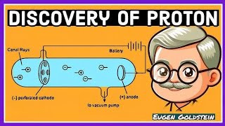 Discovery of proton and neutron class 9th Che [upl. by Htiduy424]