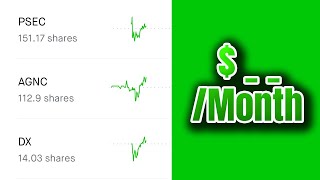 Calculating My Monthly Dividends [upl. by Ayrad]