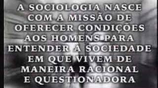 O que é sociologia [upl. by Akeenahs]