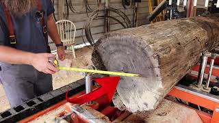 What Happens When A Dead Walnut Tree Is Put On A Sawmill [upl. by Uke]