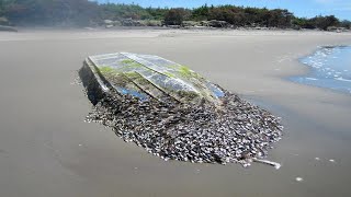 INCREDIBLE AND INGENIOUS Barnacles Removing From ShipSATISFYING Barnacles Removing Proces3 [upl. by Persas]