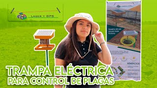 Trampa eléctrica para control de plagas [upl. by Edmond]