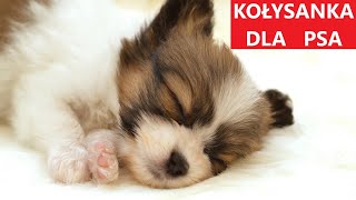 KOŁYSANKA DLA PSA  Muzyka Relaksacyjna Dla Psów  GŁĘBOKI SEN 💤 [upl. by Leasia]